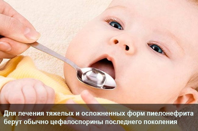 Цефалоспорины при почечных заболеваниях