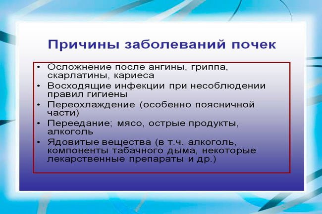 Первые симптомы почек у мужчин. Симптомы болезни почек. Признаки поражения почек. Патология почек симптомы. Почки симптомы болезни у женщин.