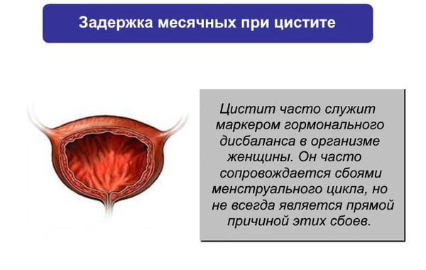 Задержка месячных при цистите